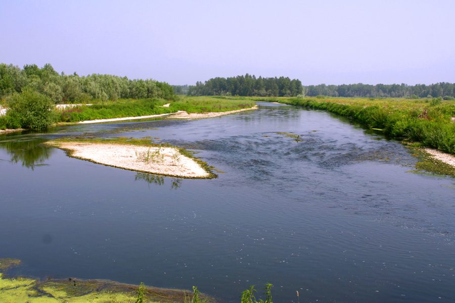 Parco del Ticino vicino a Vigevano